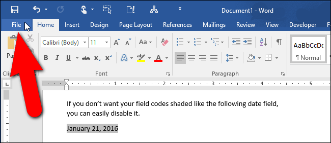 show field codes in word for mac